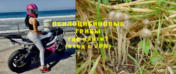 молекула духа Кулебаки