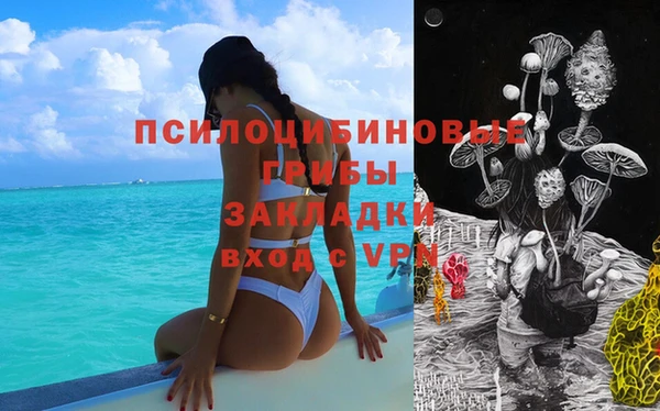 ПСИЛОЦИБИНОВЫЕ ГРИБЫ Кукмор