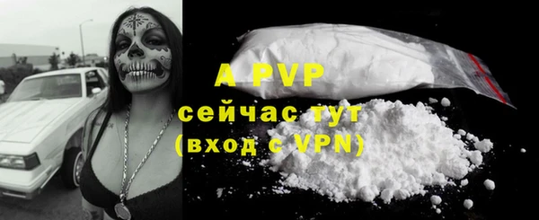 молекула духа Кулебаки