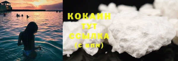 бошки Краснослободск