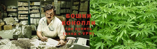 бошки Краснослободск
