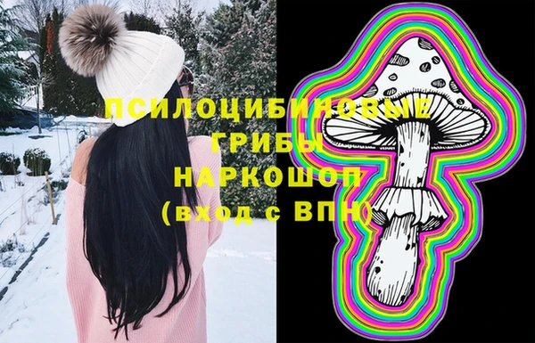 ПСИЛОЦИБИНОВЫЕ ГРИБЫ Кукмор