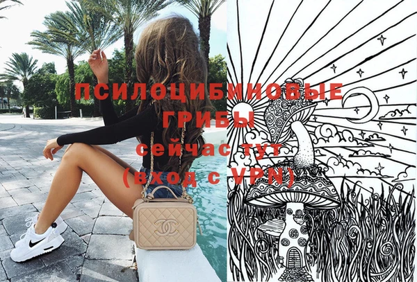 бошки Краснослободск