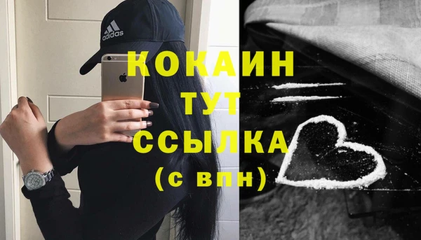 молекула духа Кулебаки