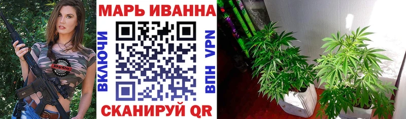 Бошки марихуана планчик Барнаул