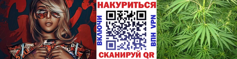 МАРИХУАНА гибрид  OMG ТОР  Барнаул 